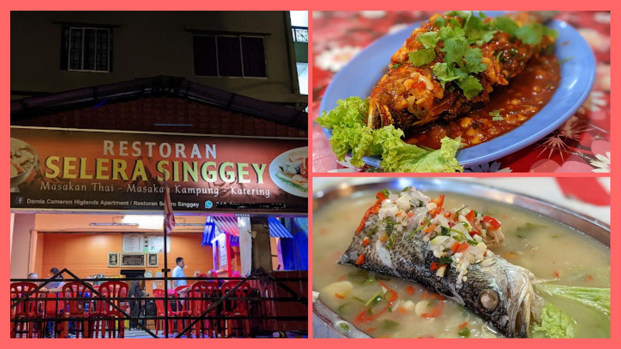 Restoran Selero Singgey photo menu dan review